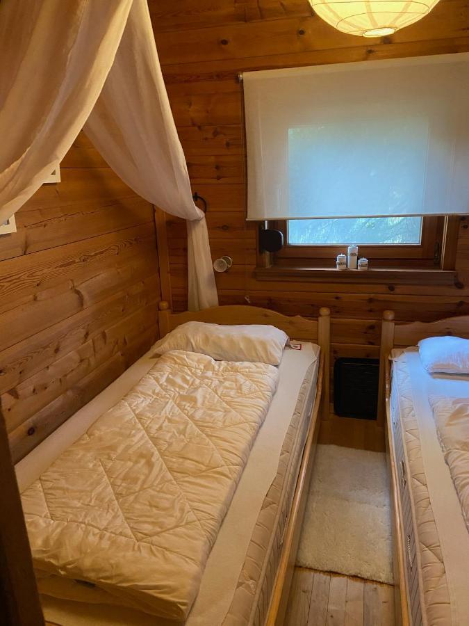 Blockhaus Ferienzauber Villa Bromskirchen Exteriör bild